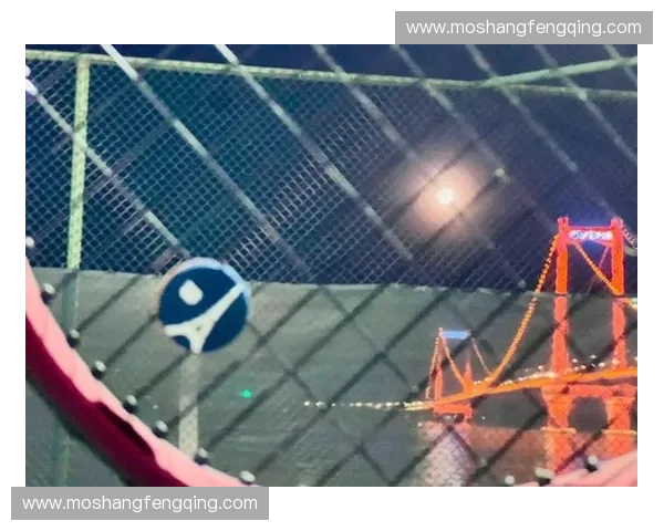 体育直播在线观看高清平台尽享实时赛事精彩全程体验乐趣无限畅快